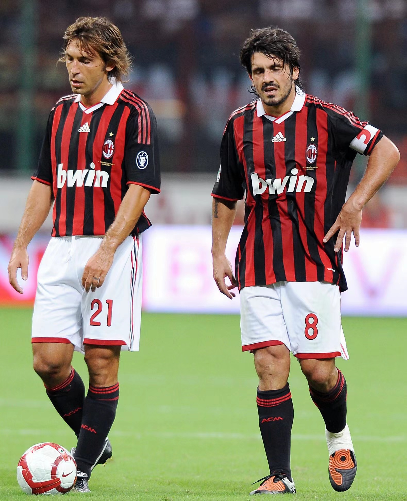 斯末节的体 斯末节的体